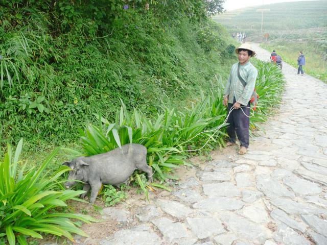 Urlaub in Vietnam 2007